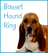 Basset Hound Ring